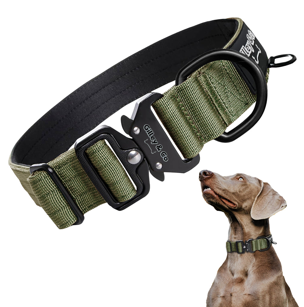 GIlley&Co Premium Dog Collar with AirTag Pouch - Adjustable Heavy Duty Collar with Quick Release Metal Buckle - Army Green