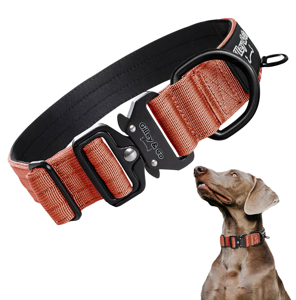 GIlley&Co Premium Dog Collar with AirTag Pouch - Adjustable Heavy Duty Collar with Quick Release Metal Buckle - Burnt Orange