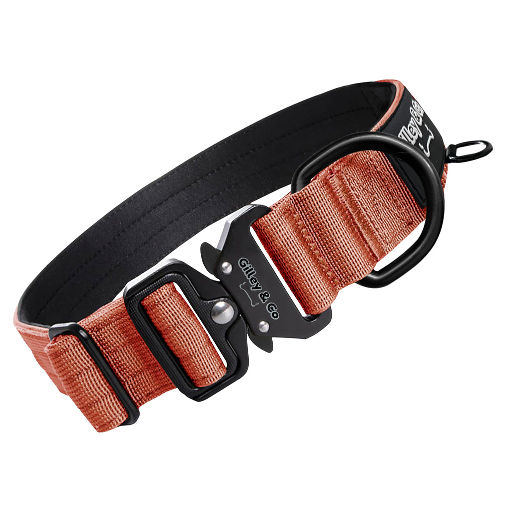 GIlley&Co Premium Dog Collar with AirTag Pouch - Adjustable Heavy Duty Collar with Quick Release Metal Buckle - Burnt Orange