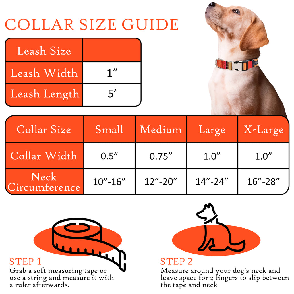 Gilley&Co Dog Collar and Leash Set - 8 Designs, 4 Sizes with Stainless Steel Buckle (Beachside Breeze)