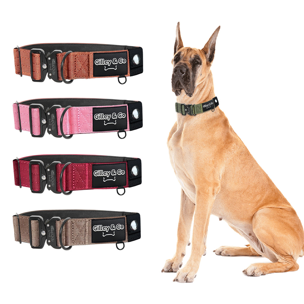 GIlley&Co Premium Dog Collar with AirTag Pouch - Adjustable Heavy Duty Collar with Quick Release Metal Buckle - Army Green