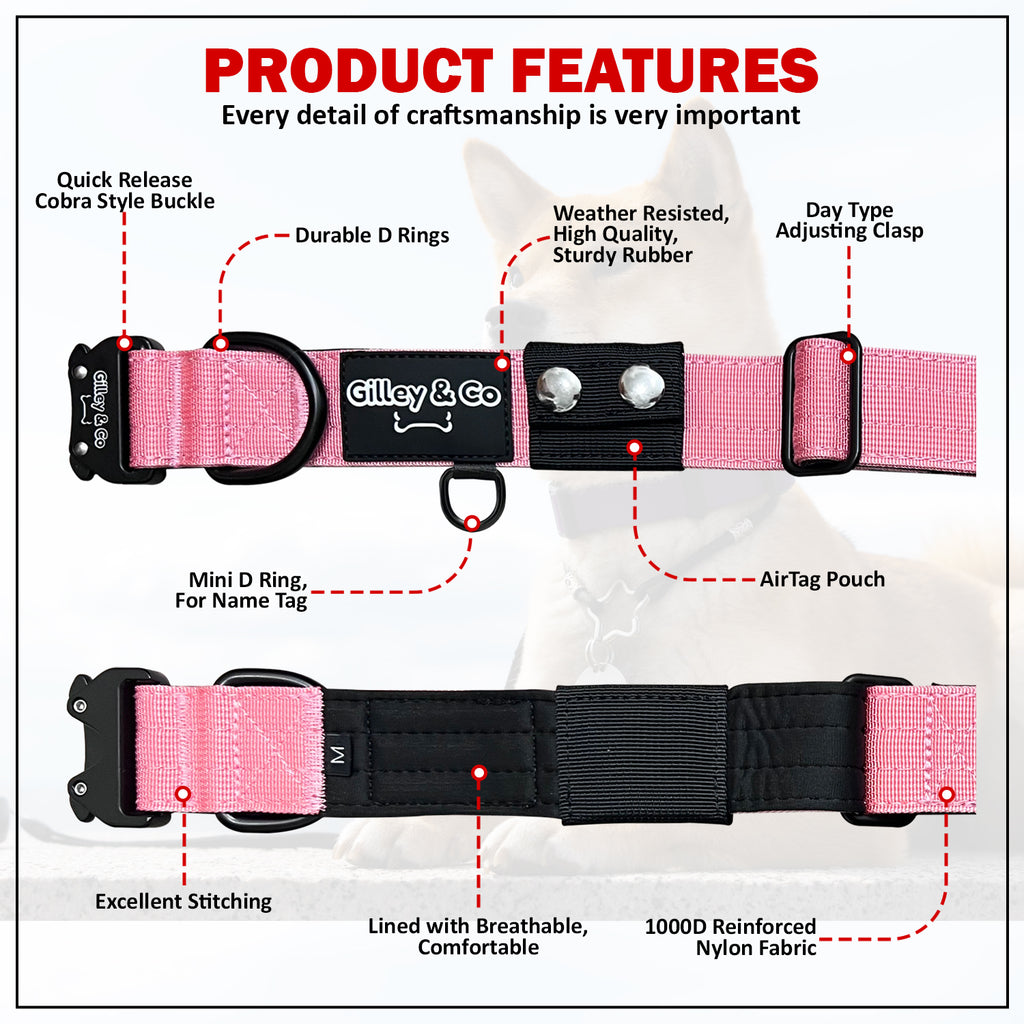 GIlley&Co Premium Dog Collar with AirTag Pouch - Adjustable Heavy Duty Collar with Quick Release Metal Buckle - Burnt Orange