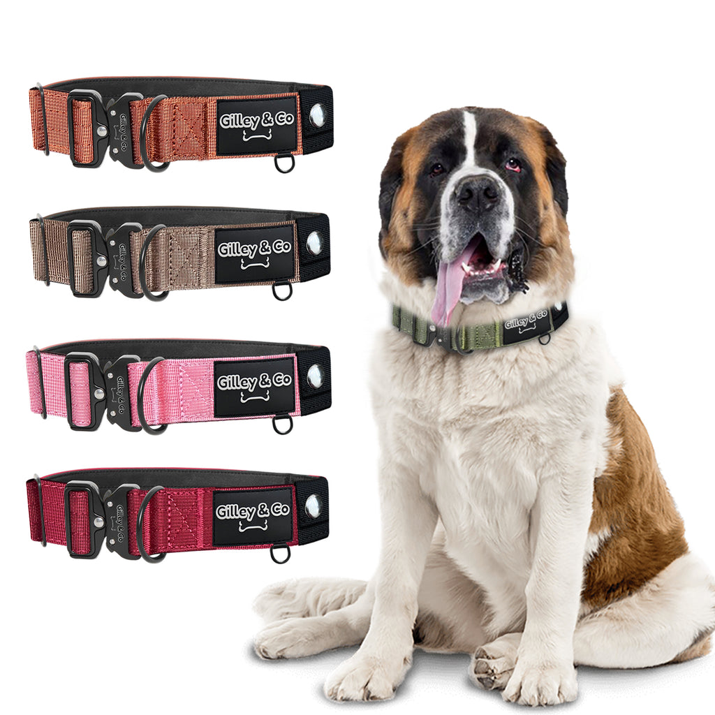 GIlley&Co Premium Dog Collar with AirTag Pouch - Adjustable Heavy Duty Collar with Quick Release Metal Buckle - Army Green