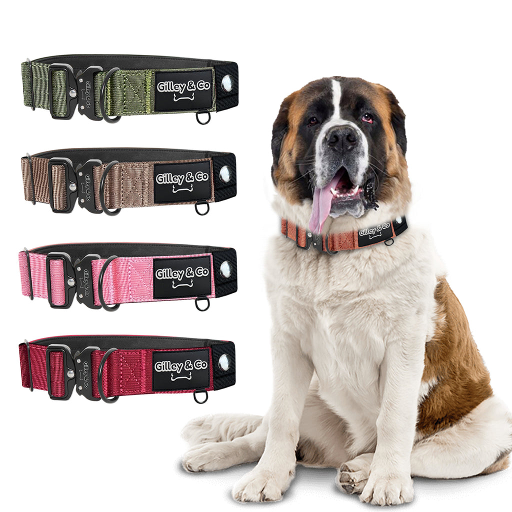 GIlley&Co Premium Dog Collar with AirTag Pouch - Adjustable Heavy Duty Collar with Quick Release Metal Buckle - Burnt Orange