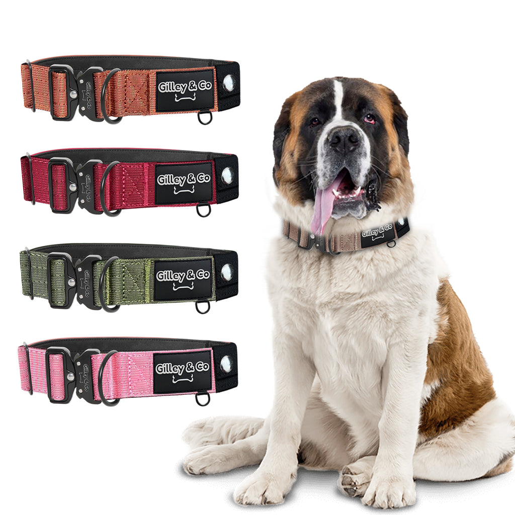 GIlley&Co Premium Dog Collar with AirTag Pouch - Adjustable Heavy Duty Collar with Quick Release Metal Buckle - Earthy Brown