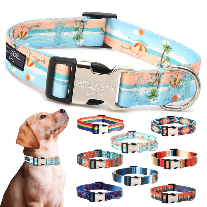 Gilley&Co Dog Collar and Leash Set - 8 Designs, 4 Sizes with Stainless Steel Buckle (Beachside Breeze)