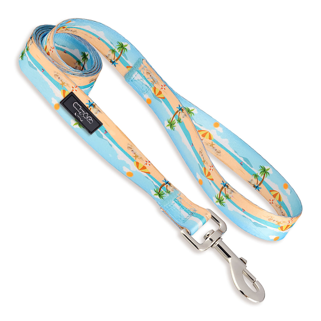 Gilley&Co Dog Collar and Leash Set - 8 Designs, 4 Sizes with Stainless Steel Buckle (Beachside Breeze)